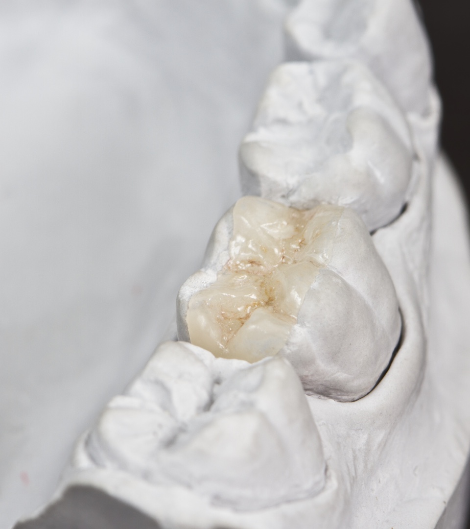Tony Majdalany Dental Lab — 6